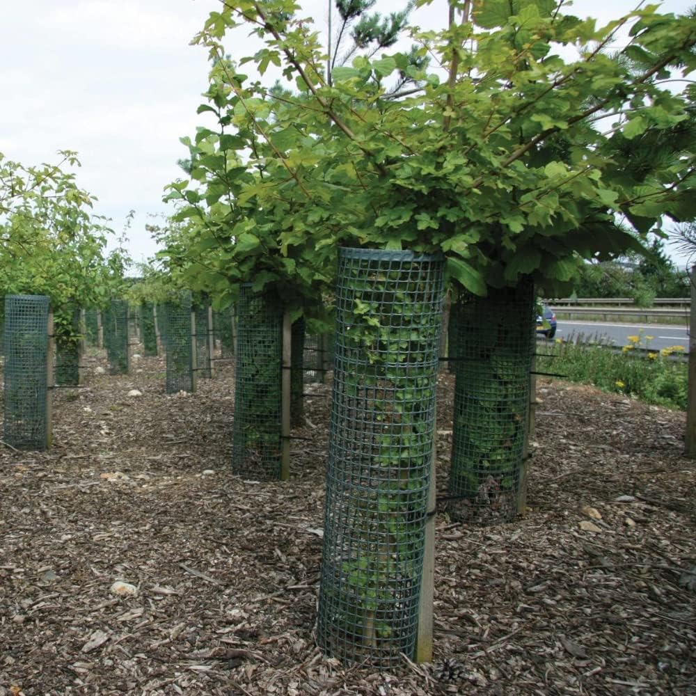 TUBEX Treeguard Strauch-/Baumschutz-Gitter-Röhre Höhe 60cm, Ø 170-200mm, grün, Stammschutz, Fege- un