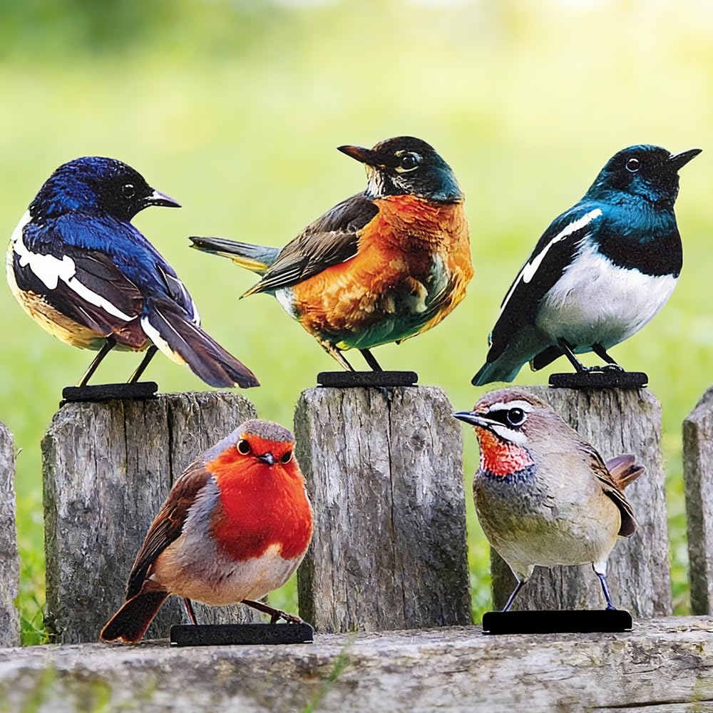 5 Stück Gartendeko Bemalte Vogel, Bunt Bemalte 2D Gartenkunst für draussen wetterfest, Vögel Gartens