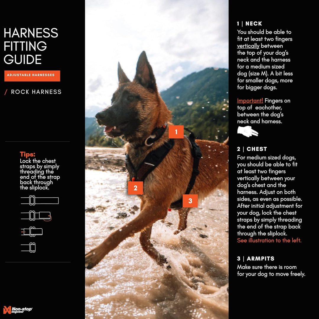 Non-Stop dogwear Rock Harness |130| Führ und Alltagsgeschirr, Grösse:L Schwarz L, Schwarz L