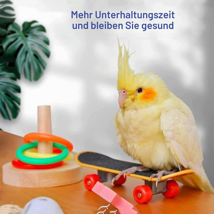 WisherMar 5 Stück Vogelspielzeug für Papageien, Training – Trainingsspielzeug mit Tretroller, Basket