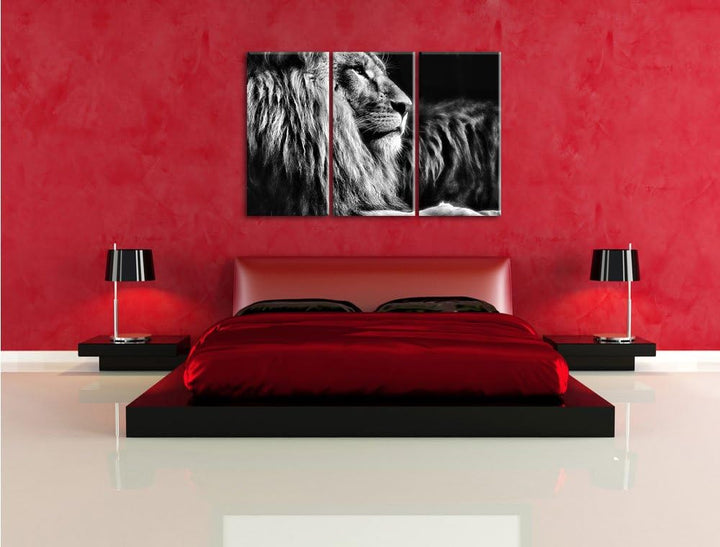 Pixxprint Majestätischer stolzer Löwe als Leinwandbild/Grösse: 3 Teilig (120x80) cm/Wandbild/Kunstdr
