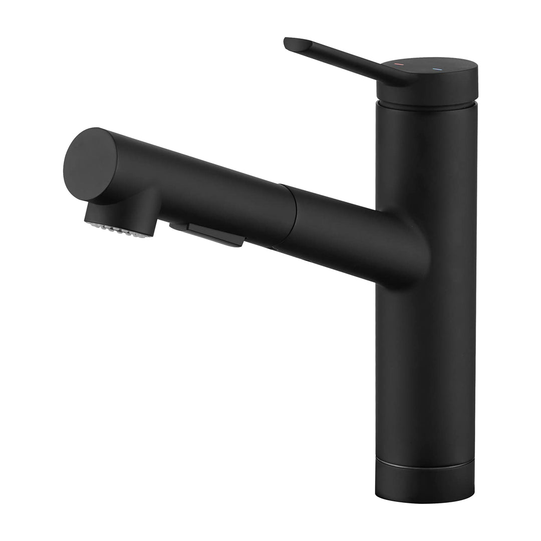 CREA Wasserhahn Küche, Küchenarmatur mit Ausziehbarer Brause, Spültischarmatur Küche mit 2 Strahlart