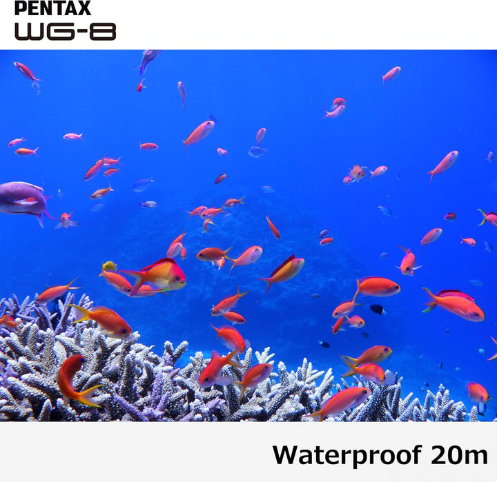 PENTAX WG-8 Schwarze Allwetter-Abenteuerkamera mit hervorragender wasserdichter, staubdichter und st