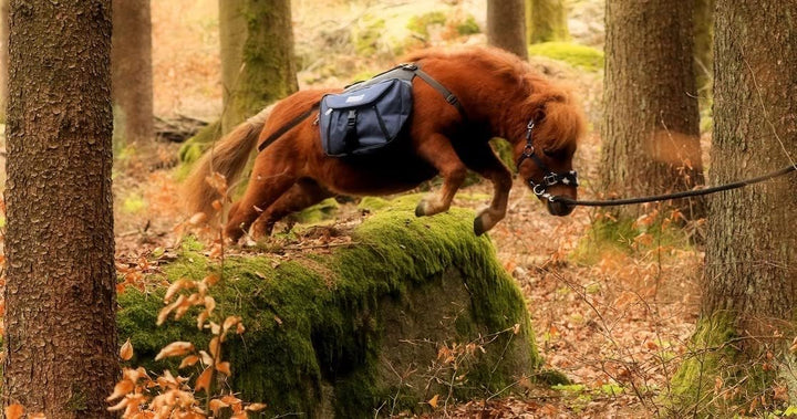 Tysons Breeches Rucksack Blau Trekking Satteltasche Wanderrucksack Packtaschen Minishetty Mini Shett