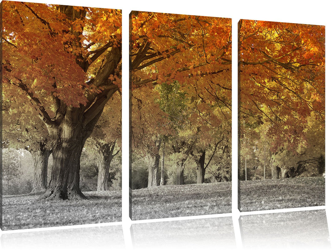 Pixxprint schöne Herbstlandschaft als Leinwandbild/Grösse: 3 Teilig (120x80 cm) cm/Wandbild/Kunstdru
