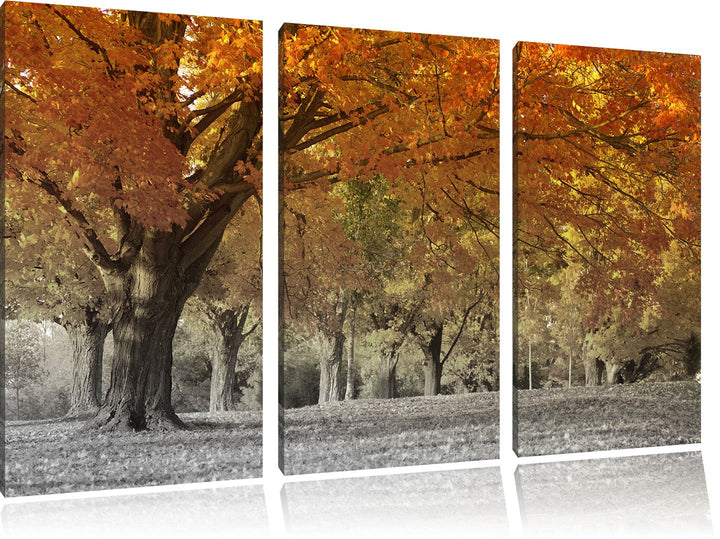 Pixxprint schöne Herbstlandschaft als Leinwandbild/Grösse: 3 Teilig (120x80 cm) cm/Wandbild/Kunstdru
