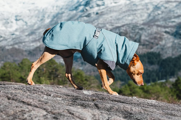 Hurtta Expedition Parka, Winter Dog Coat, Bilberry, 18XS Heidelbeerfarben 18XS, Heidelbeerfarben 18X