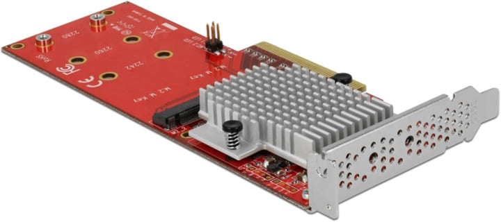DeLOCK 90305 Karte und Adapter für interne M.2 Schnittstellen – Schnittstellenkarten und Adapter (PC