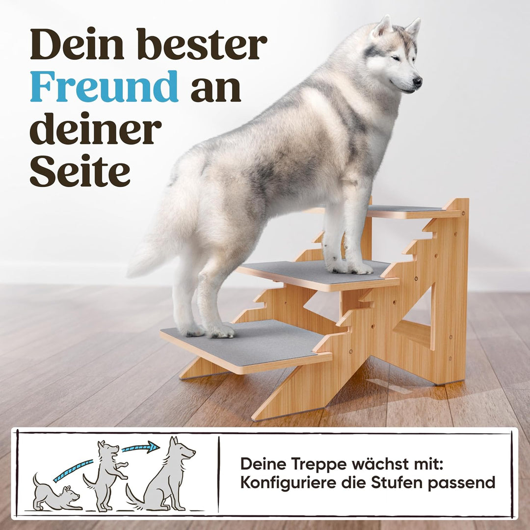 AMAZINGs Haustiertreppe für kleine, mittlere und schwere Hunde, Junge und alte Katzen. Flexibel eins