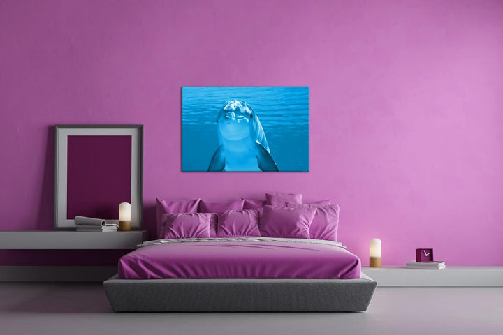 deyoli entzückender Delphin Format 80x60 Effekt: Monocrome Blau als Leinwandbild, Motiv fertig gerah