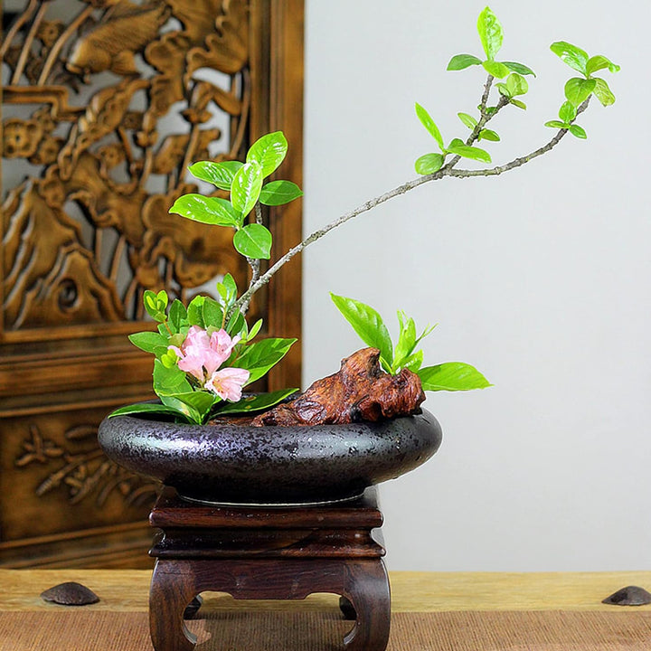 CRAFFANCY Ikebana-Blumenvase mit 5 cm Kenzan-Blumenfrosch für Blumenarrangements, Heimdekoration, sc