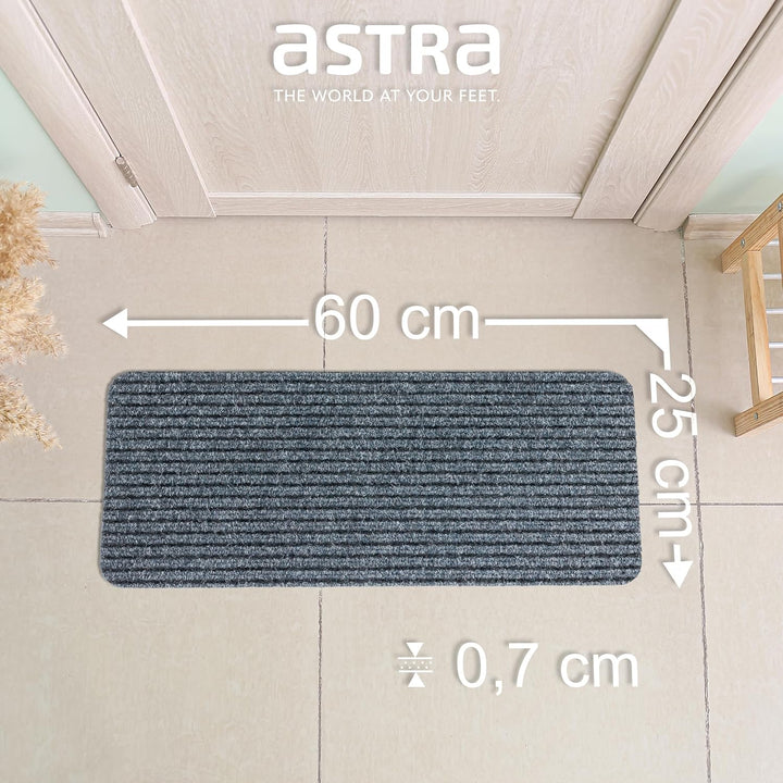Astra Fussmatte innen grau Schmutzfangmatte rutschfest – Türmatte 25x60 cm 3er Set wasserabweisend –