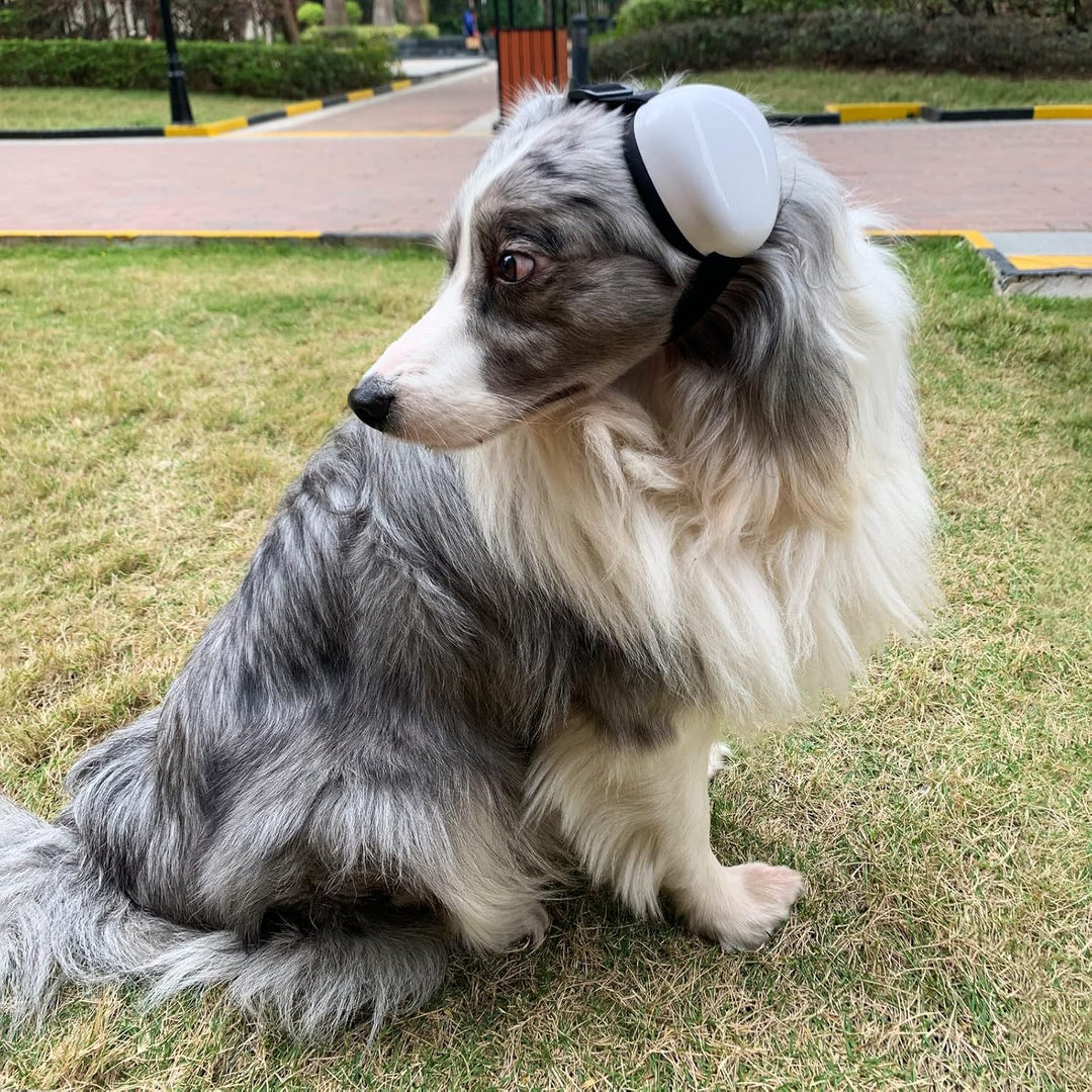derYEP DHP05 Hunde-Ohrenschützer für Gehörschutz, 29 dB, NRR Ohrenschützer, Lärmschutz, Ruhe und Sch