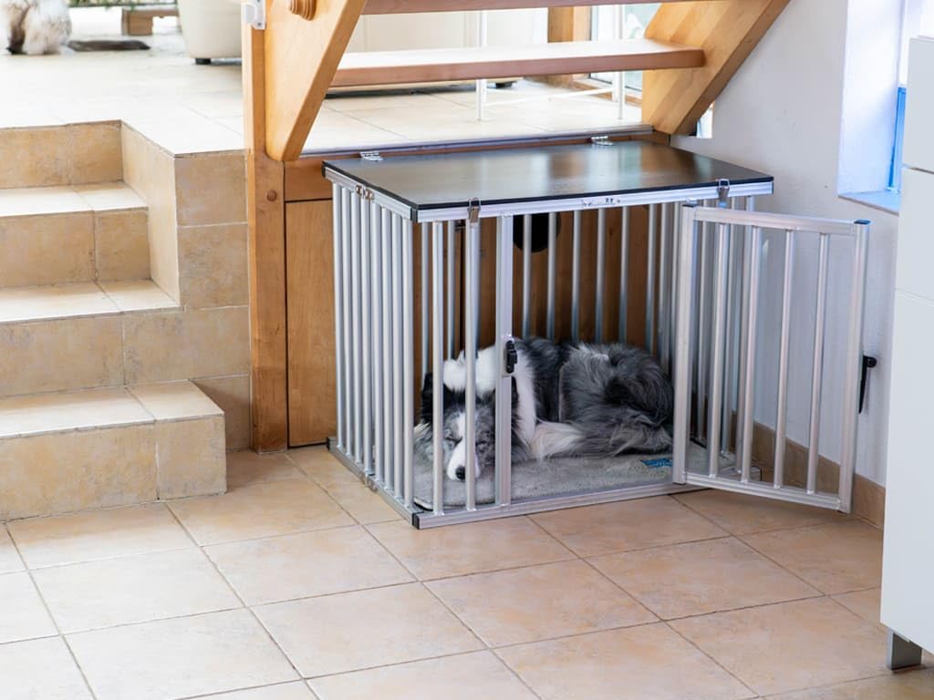 Callieway Faltbare/Klappbare ALU DOGBOX/Hundebox/Transportkäfig klappbar (Large), Large