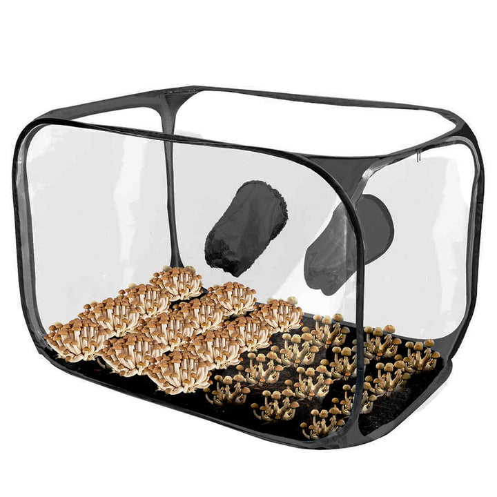 91X59X58 cm Pilz-Zuchtbox, Mushroom Still Air Box, Pilz-Still-Luftbox, Faltbare Wachstumsbehälter Pi