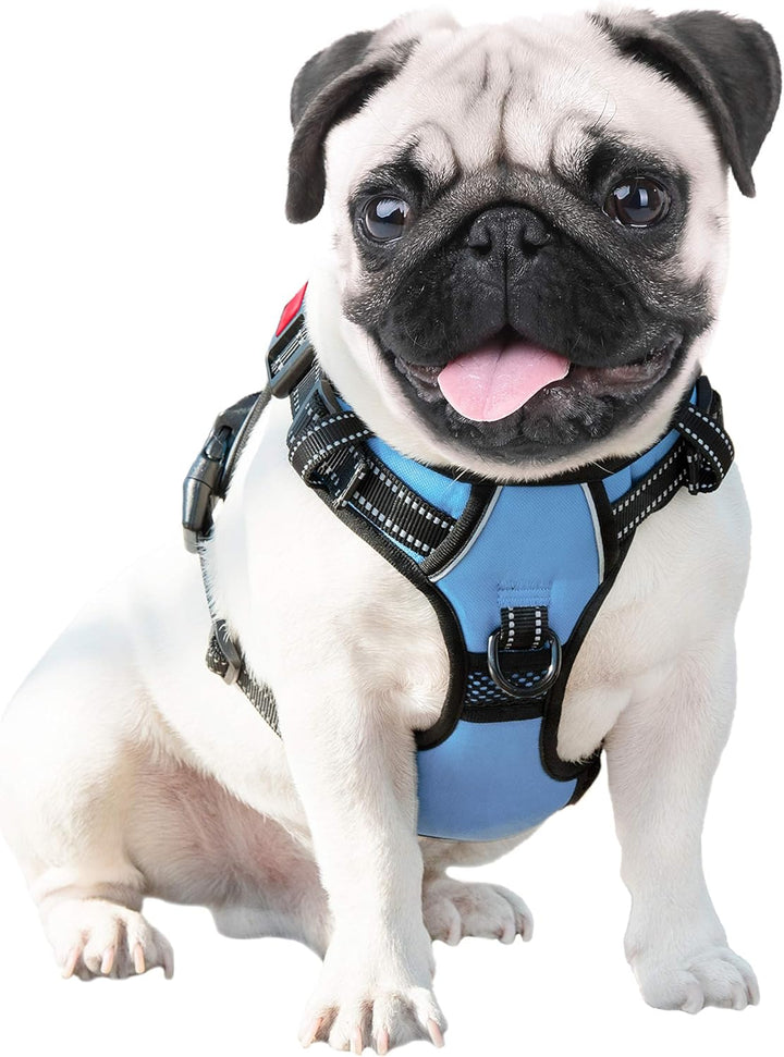 PHOEPET Anti-Zieh-Hundegeschirr, reflektierend, verstellbar, mit Trainingsgriff, Namensausweisfach,