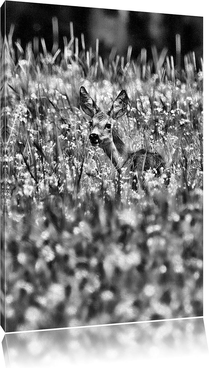 Pixxprint Monocrome, kleines Rehkitz auf Wiese, Format: 100x70 auf Leinwand, riesige Bilder fertig g