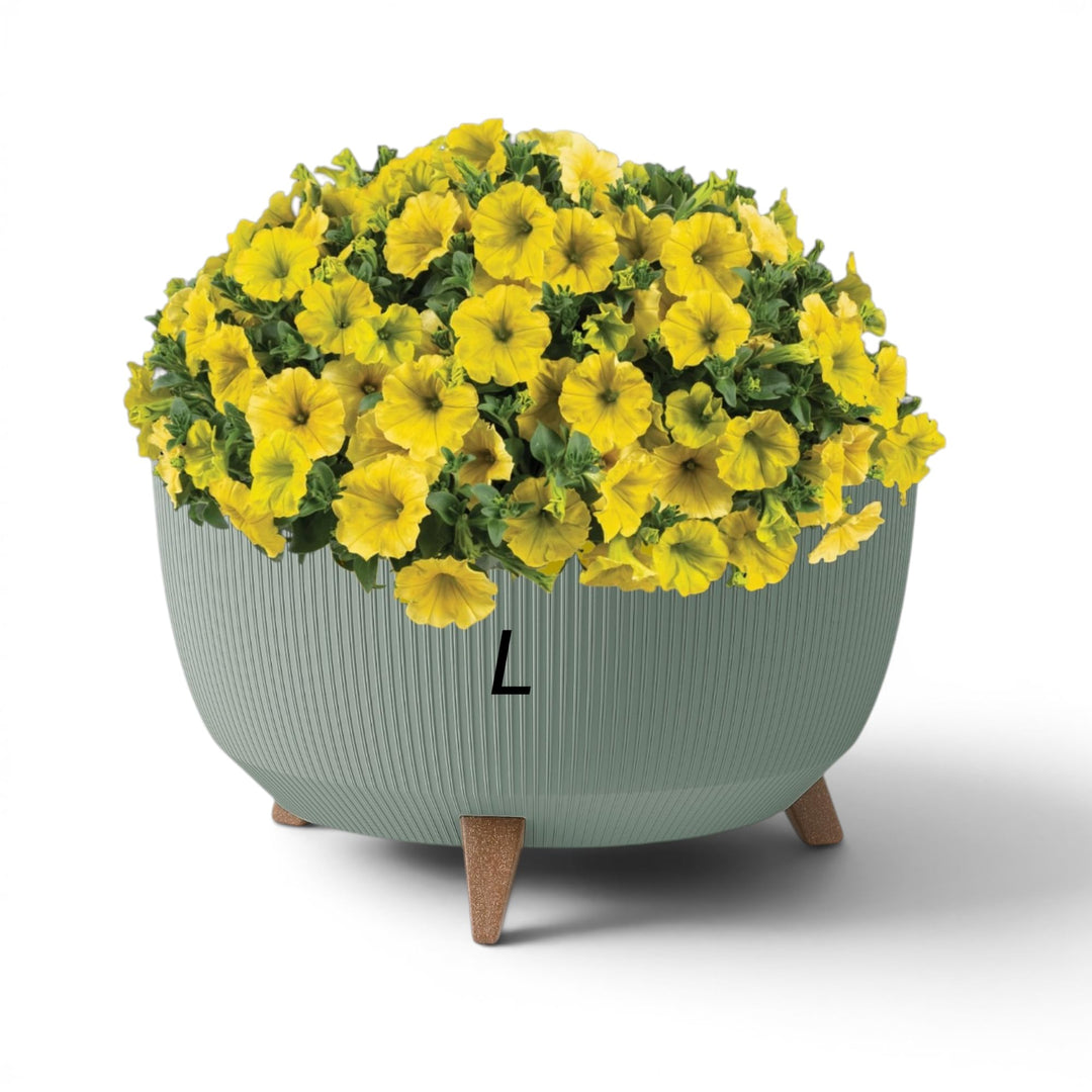MELTOM Blumentopf Schale mit Füssen Einsatz Kräutertopf Übertopf Pflanzschale Eco Recycled (Grün, L