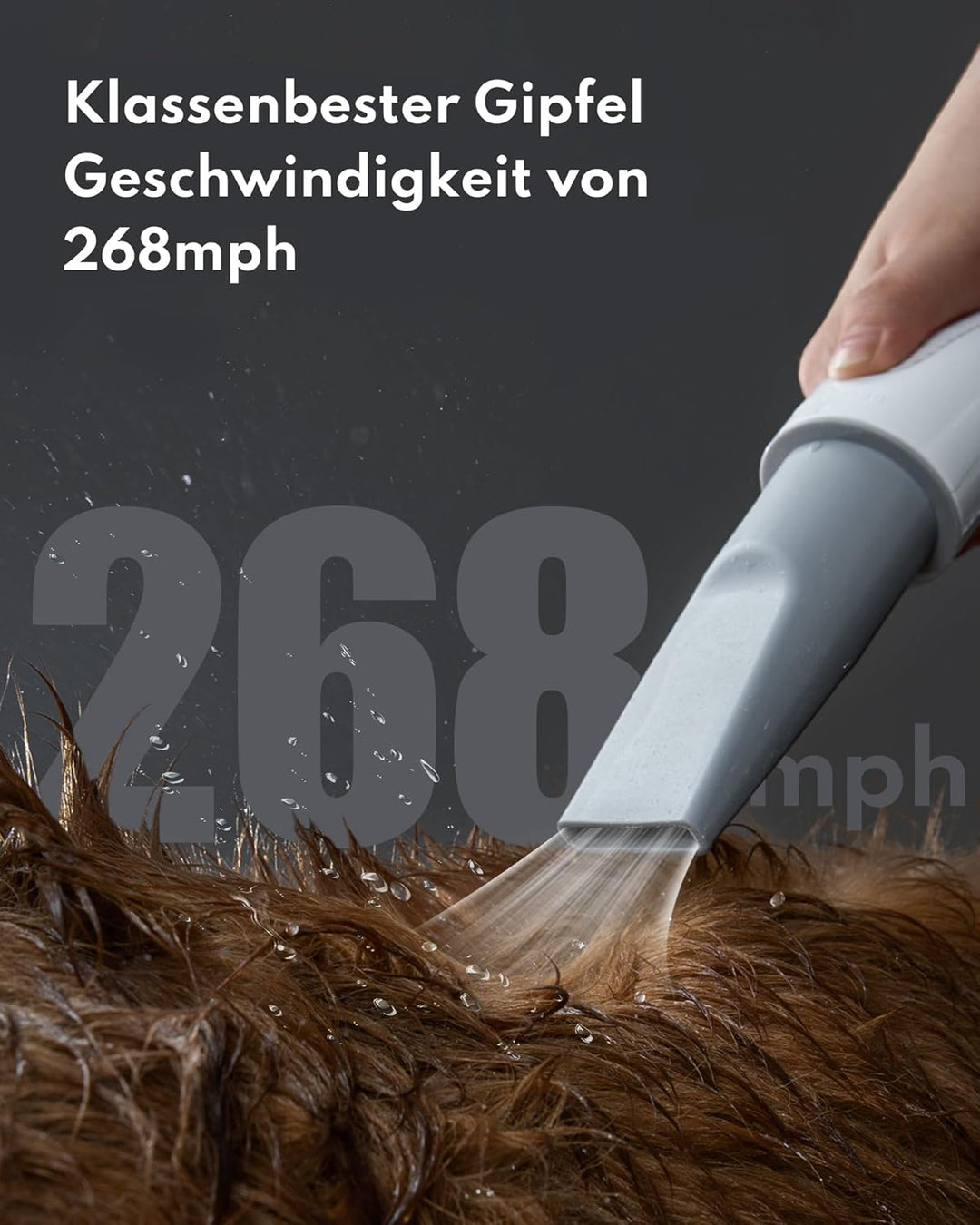 HomeRunPet Ultraleiser Hundefön für die Hundepflege, Hundetrockner in Salonqualität, 99 Geschwindigk