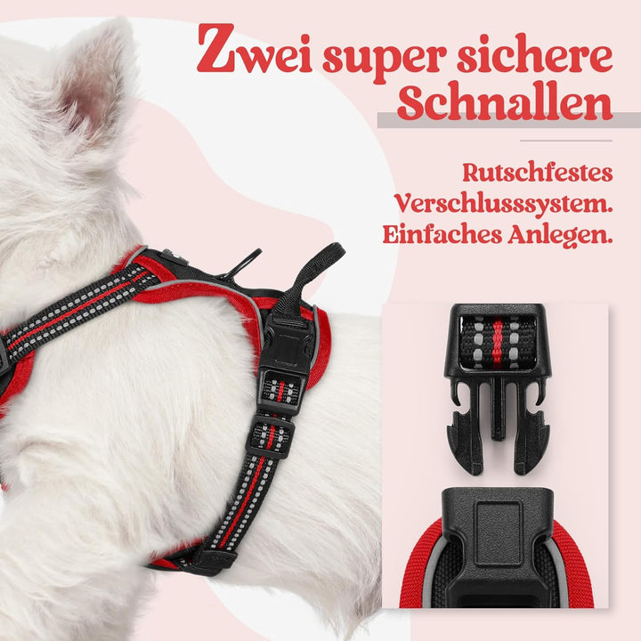 rabbitgoo Hundegeschirr Kleine Hunde, Anti Zug Geschirr mit Kontrolle, No Pull Verstellbar Hundegesc
