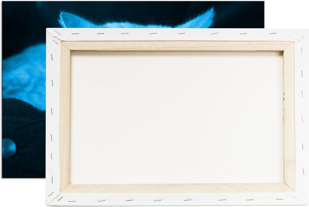 deyoli goldig schlafende Katze Format 80x60 Effekt: Monocrome Blau als Leinwandbild, Motiv fertig ge