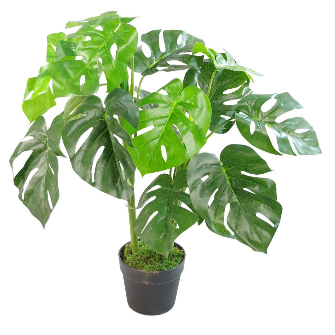 Leaf Künstliche Pflanze mit Blättern, Schwarz, 80 cm Monstera, 80cm LEAF-7151 80cm Monstera 80 Cm Mo