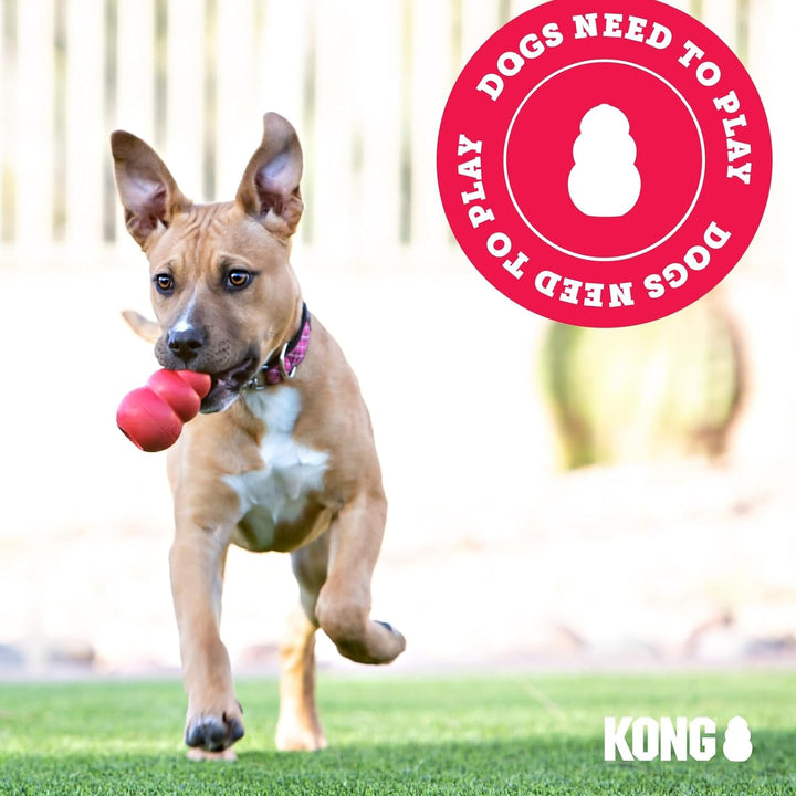 KONG Jump'N Jack - Hundespielzeug zum Kauen und für die Zahngesundheit - Aus Naturkautschuk - Für Gr