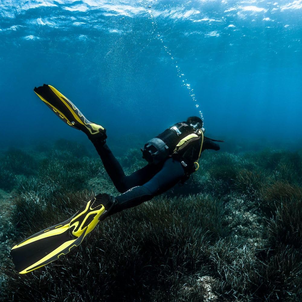 Aqualung PHAZER - flossen Erwachsene für alle Erfahrungsstufen mit innovativer Wave Rib-Technologie,