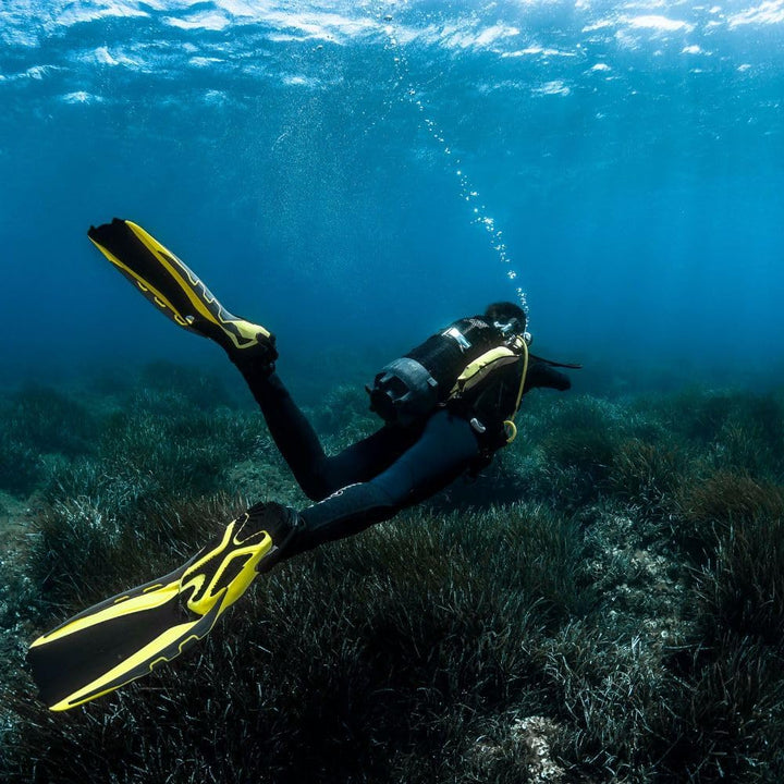 Aqualung PHAZER - flossen Erwachsene für alle Erfahrungsstufen mit innovativer Wave Rib-Technologie,