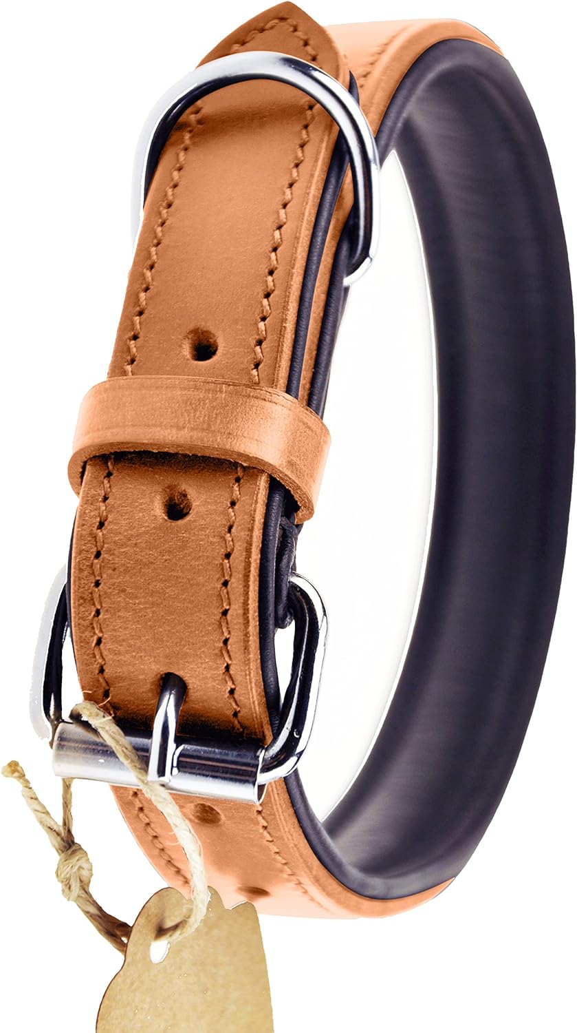 Schnüffelfreunde Halsband für Hunde aus Leder, Hundehalsband für den grossen, mittleren und kleinen