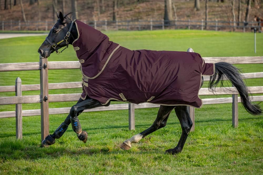Horseware Amigo Hero Ripstop Plus Lite 0g - Fig/Navy & Tan 5'6, 5'6
