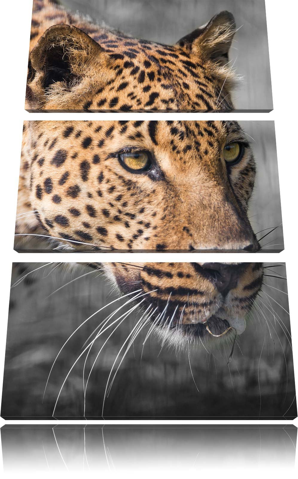 Pixxprint schleichender Leopard schwarz/weiss 3-Teiler Leinwandbild 120x80 Bild auf Leinwand