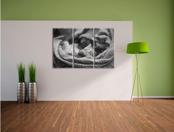 Pixxprint Babykatze als Leinwandbild/Grösse: 3 Teilig (120x80) cm/Wandbild/Kunstdruck/fertig bespann