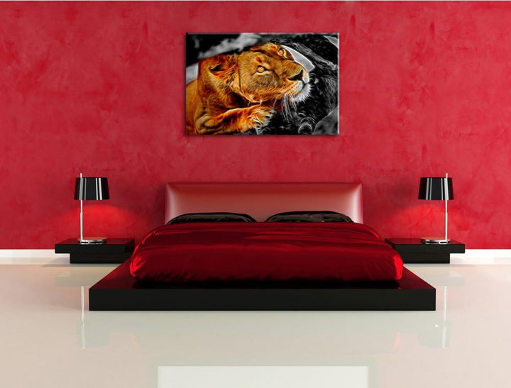 listige Löwin schwarz/weiss Deluxe Format: 100x70 cm auf Leinwand, XXL riesige Bilder fertig gerahmt