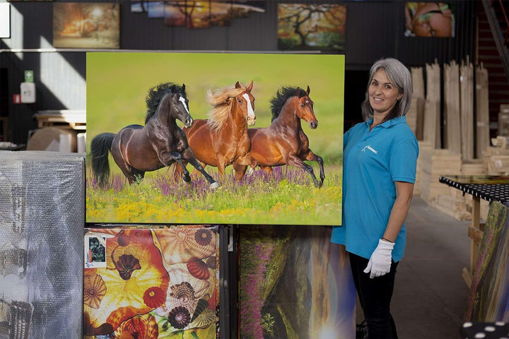 Startonight Bilder Pferderennen auf dem Feld - Leinwandbilder Moderne Kunst - Tiere Wanddeko Kunstdr