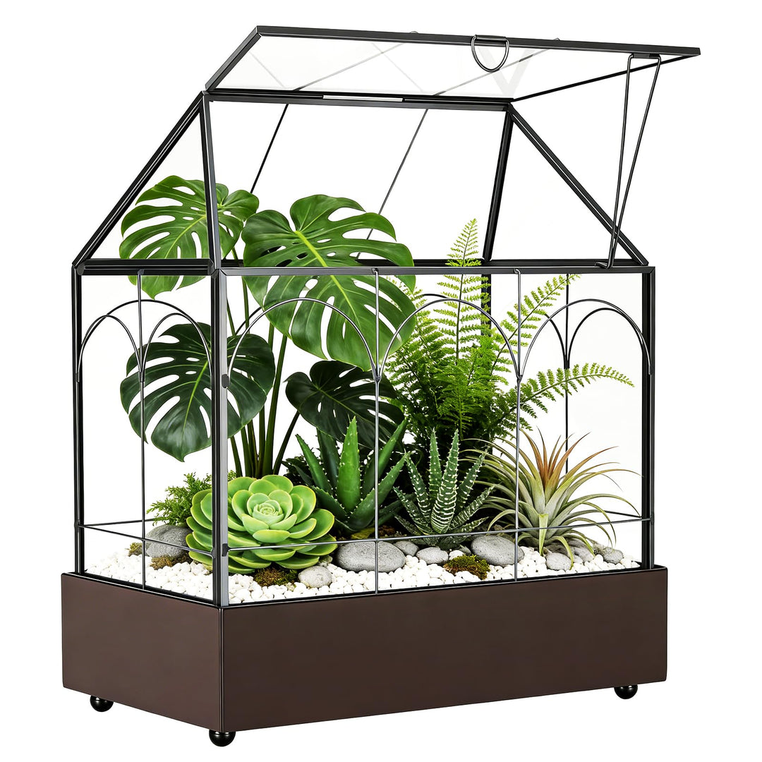 Mini Gewächshaus, 24x14,5x28cm Terrarium mit Aufklappbarem Glasdeckel, Volltransparentem Glas und Bo