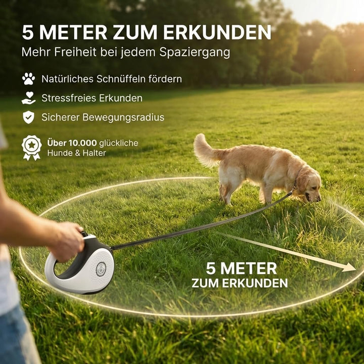 HUND IST KÖNIG Rollleine Hundeleine 5m für kleine &amp; grosse Hunde | Hochwertige Hundeleine ausziehbar