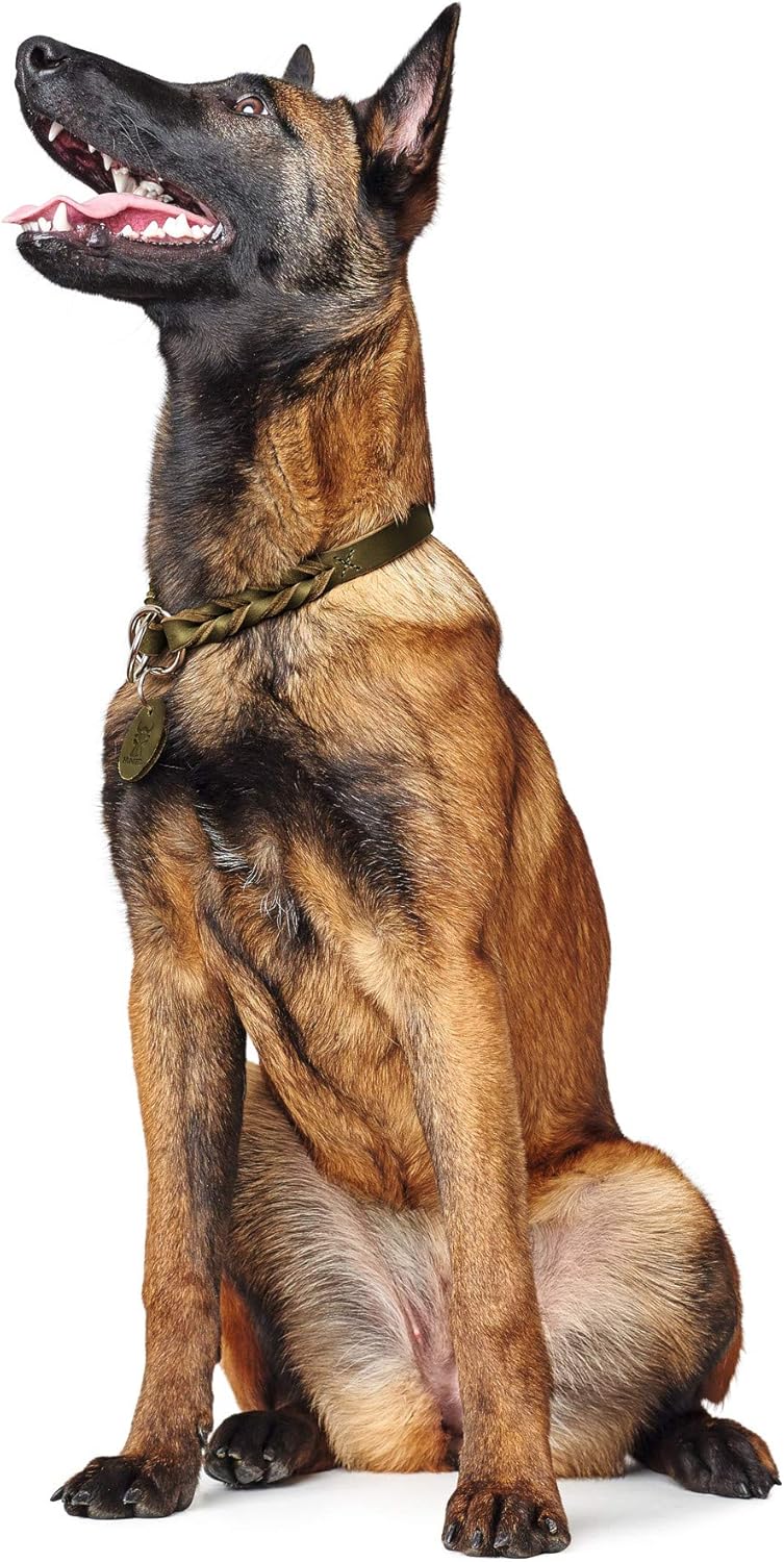 HUNTER SOLID EDUCATION Dressurhalsung für Hunde, Leder, weich, griffig, 65 (L-XL), oliv oliv 65 (L-X
