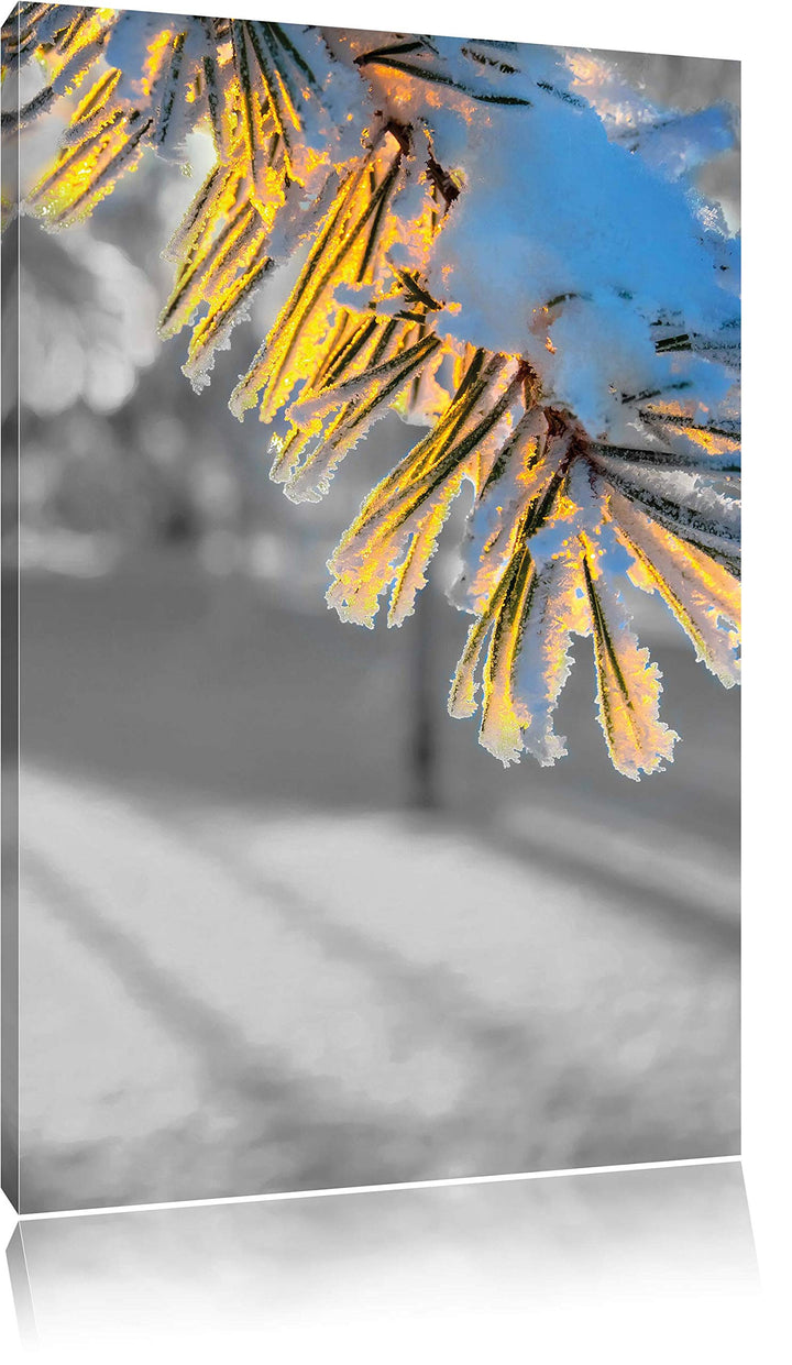 Pixxprint Tannenzweig im Winterwald schwarz/weiss als Leinwandbild/Grösse: 100x70 cm/Wandbild/Kunstd