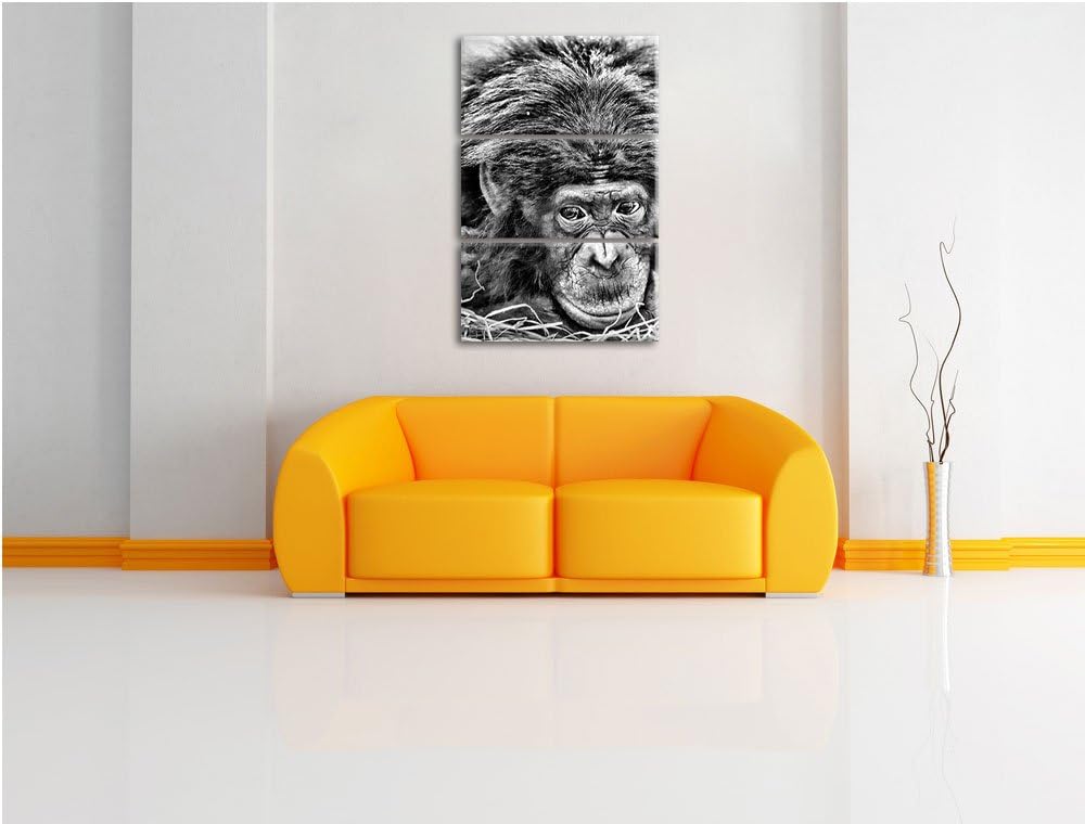Pixxprint Kleiner Schimpanse im Heu als Leinwandbild/Grösse: 3 Teilig (120x80) cm/Wandbild/Kunstdruc