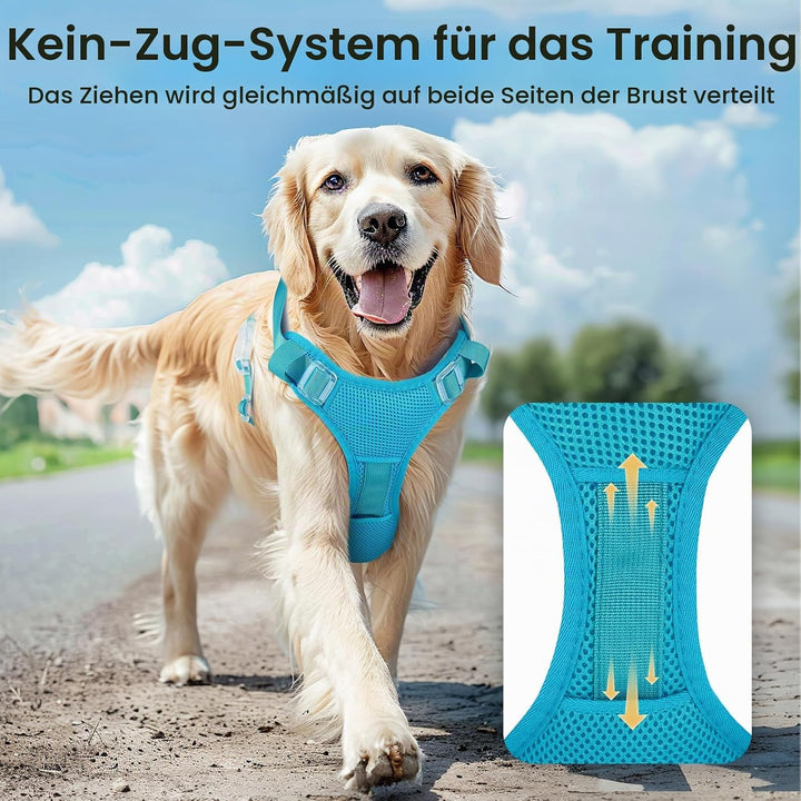 Light Up Dog Hundegeschirr Leuchtend LED Aufladbar - Leuchtgeschirr Leuchtend für Klein Mittelgrosse