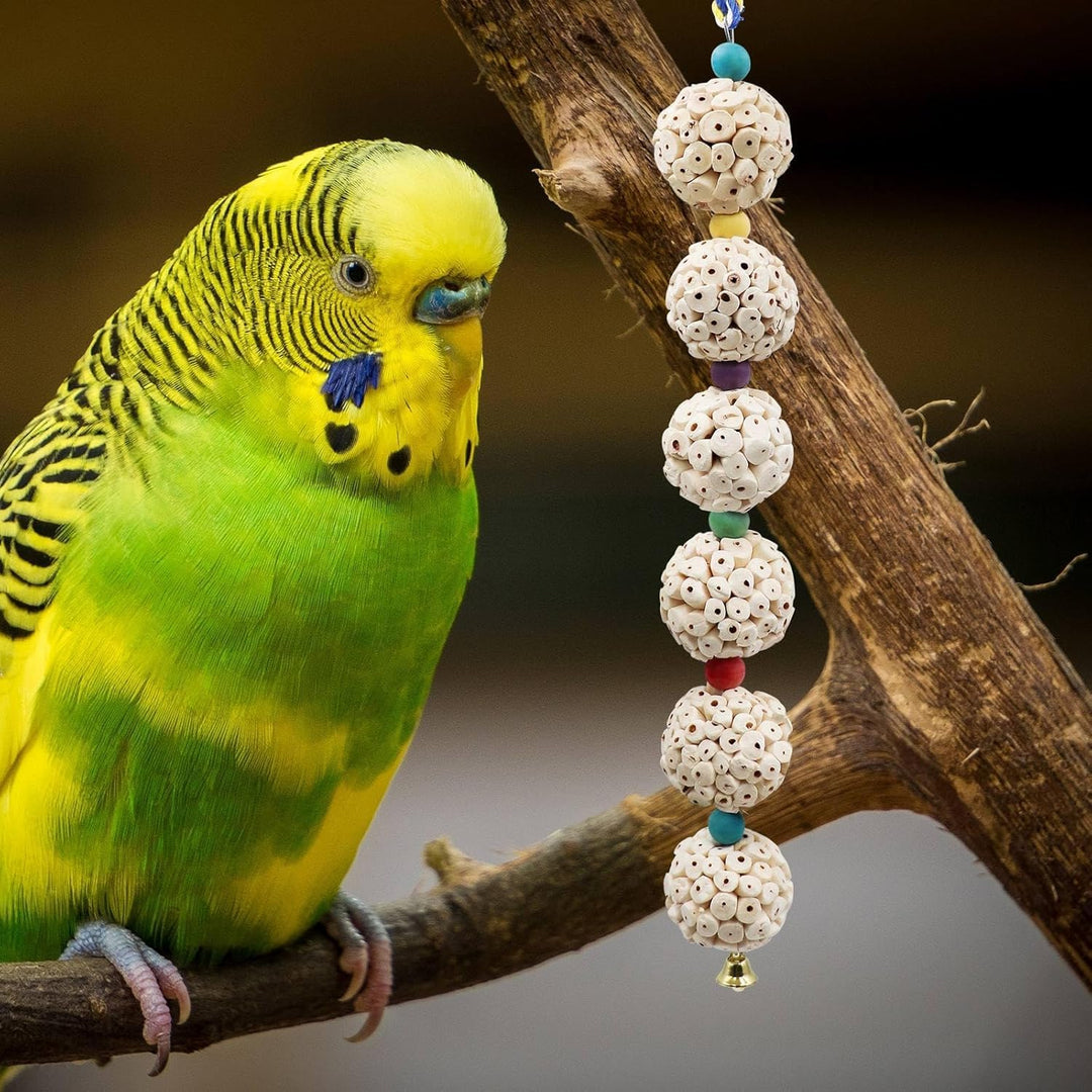 Dnoifne Vogel Kauspielzeug mit Sola Holzball &amp; Glocke – Naturkäfigzubehör für Papageien, Wellensitti