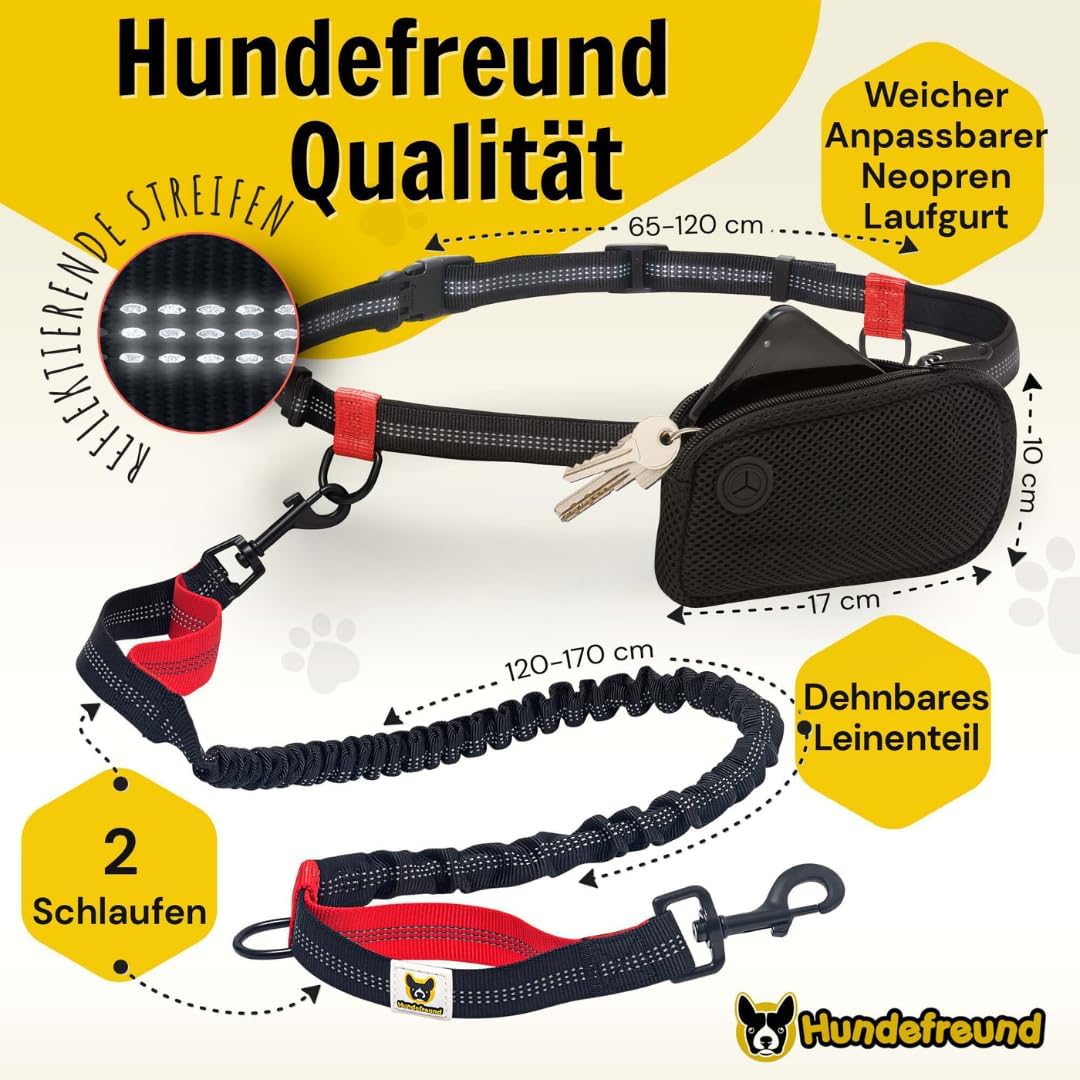 Joggingleine | Premium Hundeleine 120cm Bis 170cm | Elastisch Reflektierend Reissfest Gepolsterter B