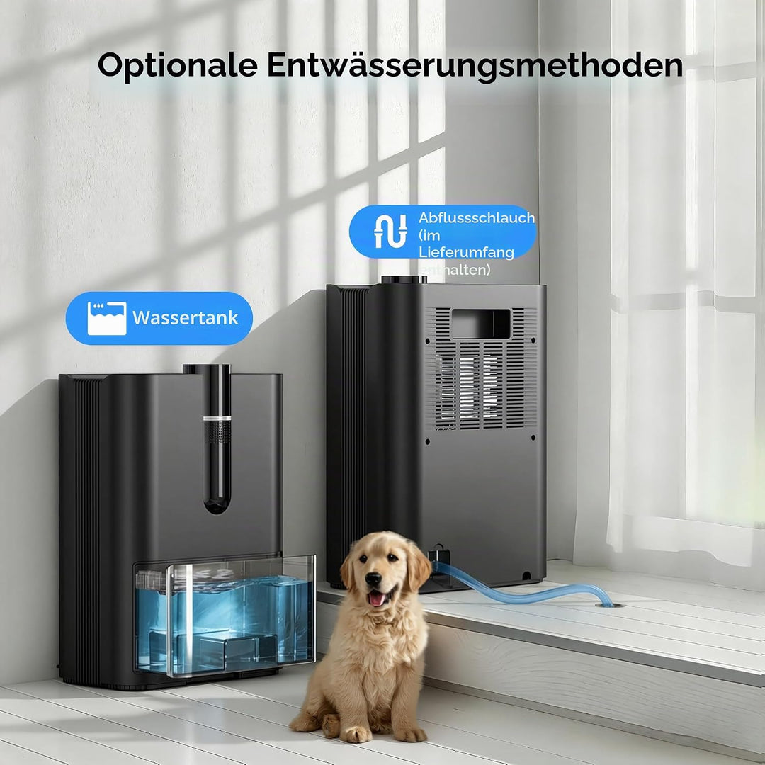 Luftentfeuchter, 2500ML Luftentfeuchter Elektrisch Leise Raumluftentfeuchter mit Ablaufschlauch, Aut
