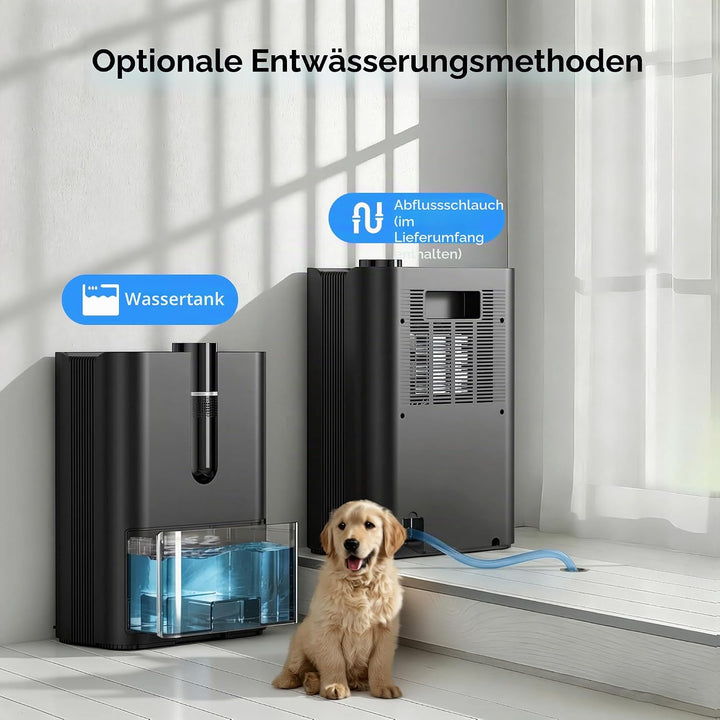 Luftentfeuchter, 2500ML Luftentfeuchter Elektrisch Leise Raumluftentfeuchter mit Ablaufschlauch, Aut