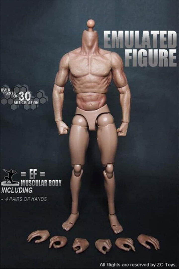 1/6 Männlicher Körper,12'' Flexibel Muskulatur Action Figur Puppen für 1:6 Massstab Kopf Skulptur, B