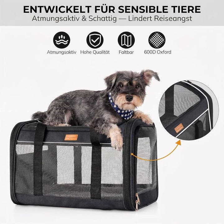 Morpilot Katzentransportbox für grosse Katzen & Welpen bis 12 kg, Transportbox Katze mit 4-seitigem