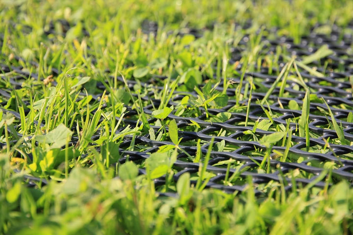 EraGreen Rasenschutzgitter 2 m Breite x 10 m Länge - 10 GRATIS ERDANKER - Stabil &amp; befahrbar Rasen G
