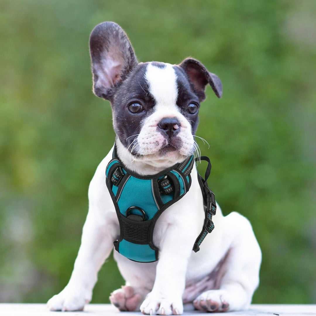 rabbitgoo Hundegeschirr Mittelgrosse Hunde, Anti Zug Geschirr mit Kontrolle, No Pull Verstellbar Hun