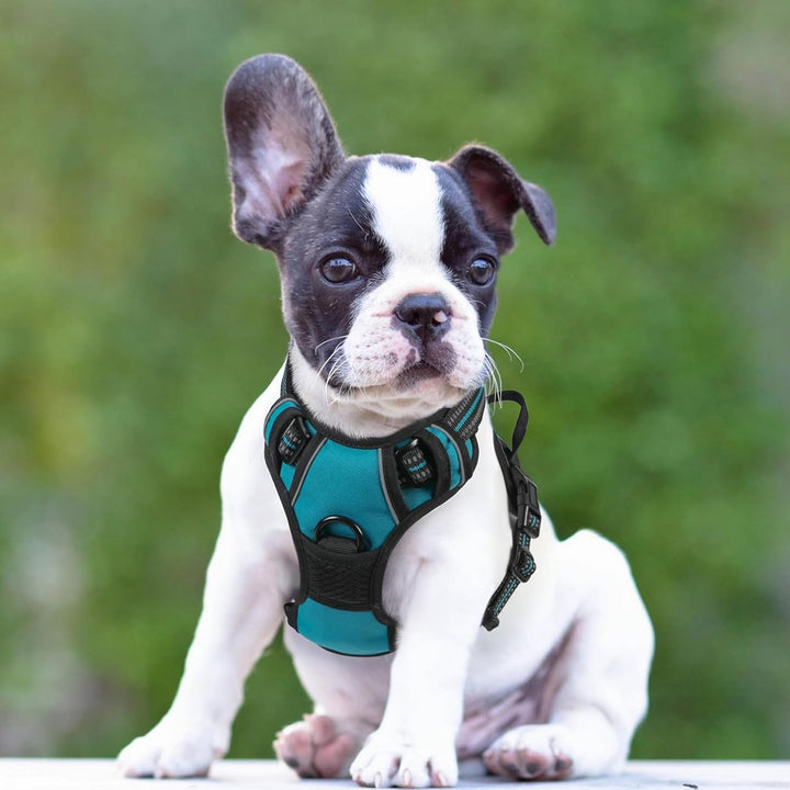 rabbitgoo Hundegeschirr Mittelgrosse Hunde, Anti Zug Geschirr mit Kontrolle, No Pull Verstellbar Hun